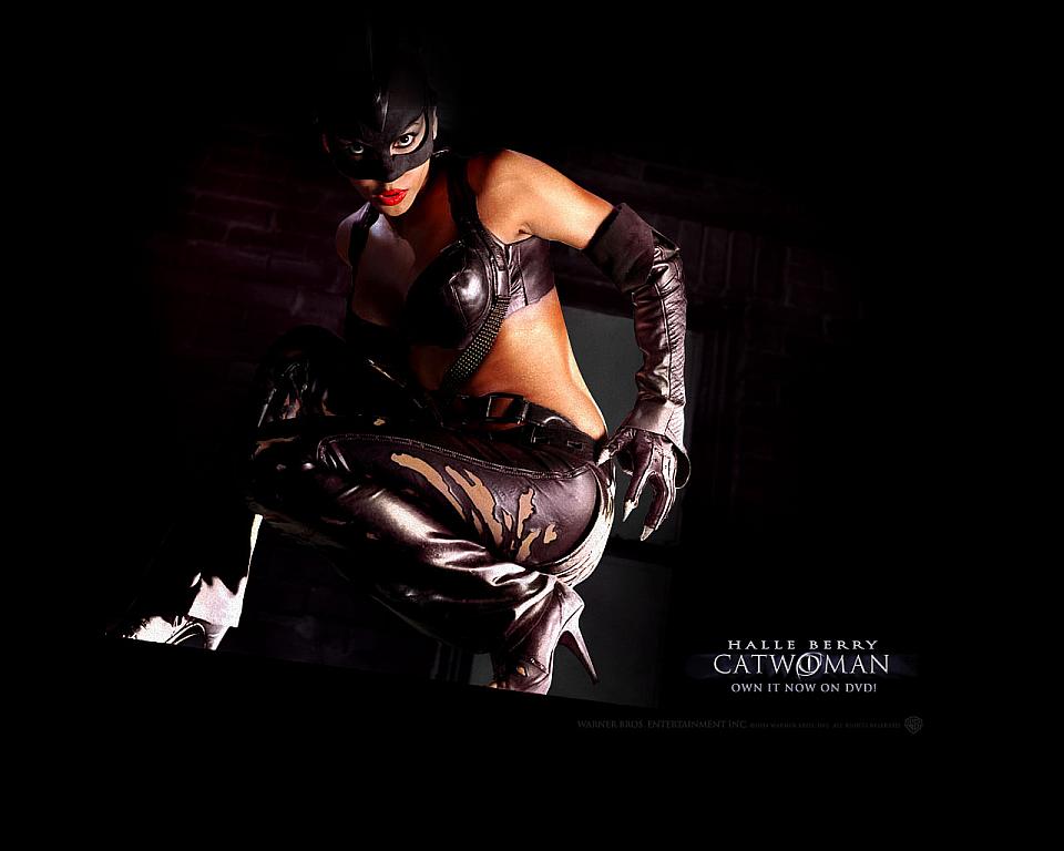 catwoman halle berry poster. Catwoman movie reviews